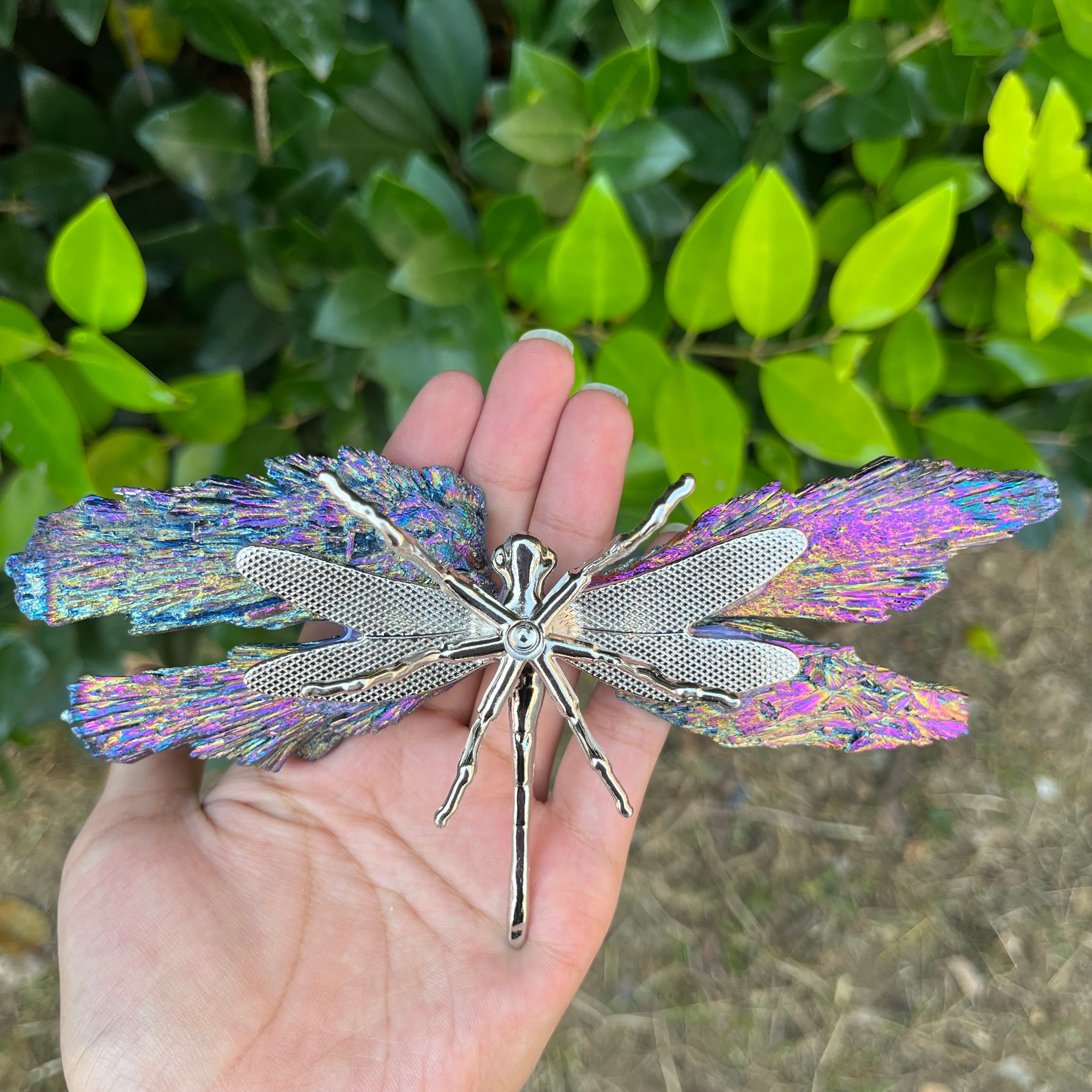 14CM Aura Tourmaline Dragonfly
