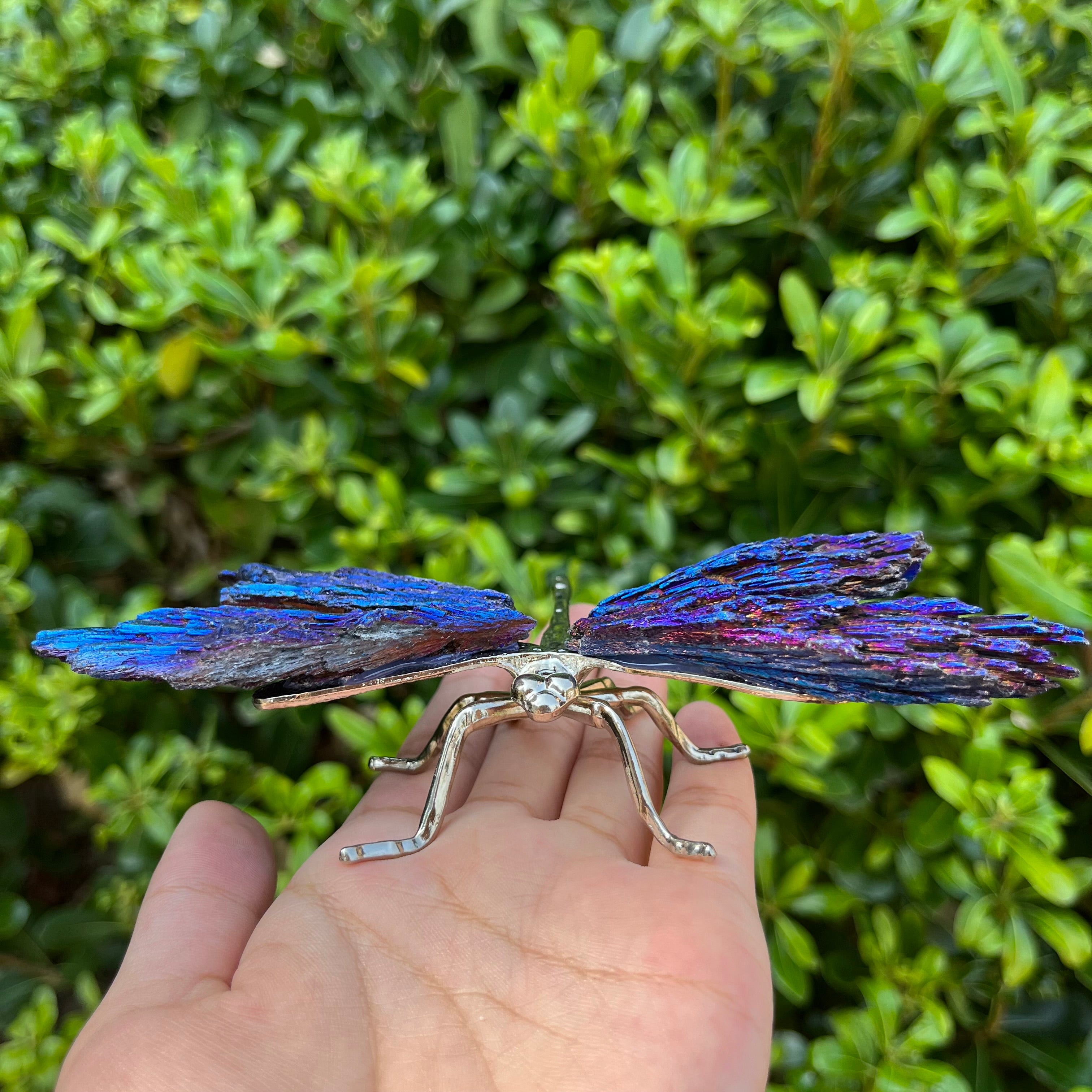 14CM Aura Tourmaline Dragonfly