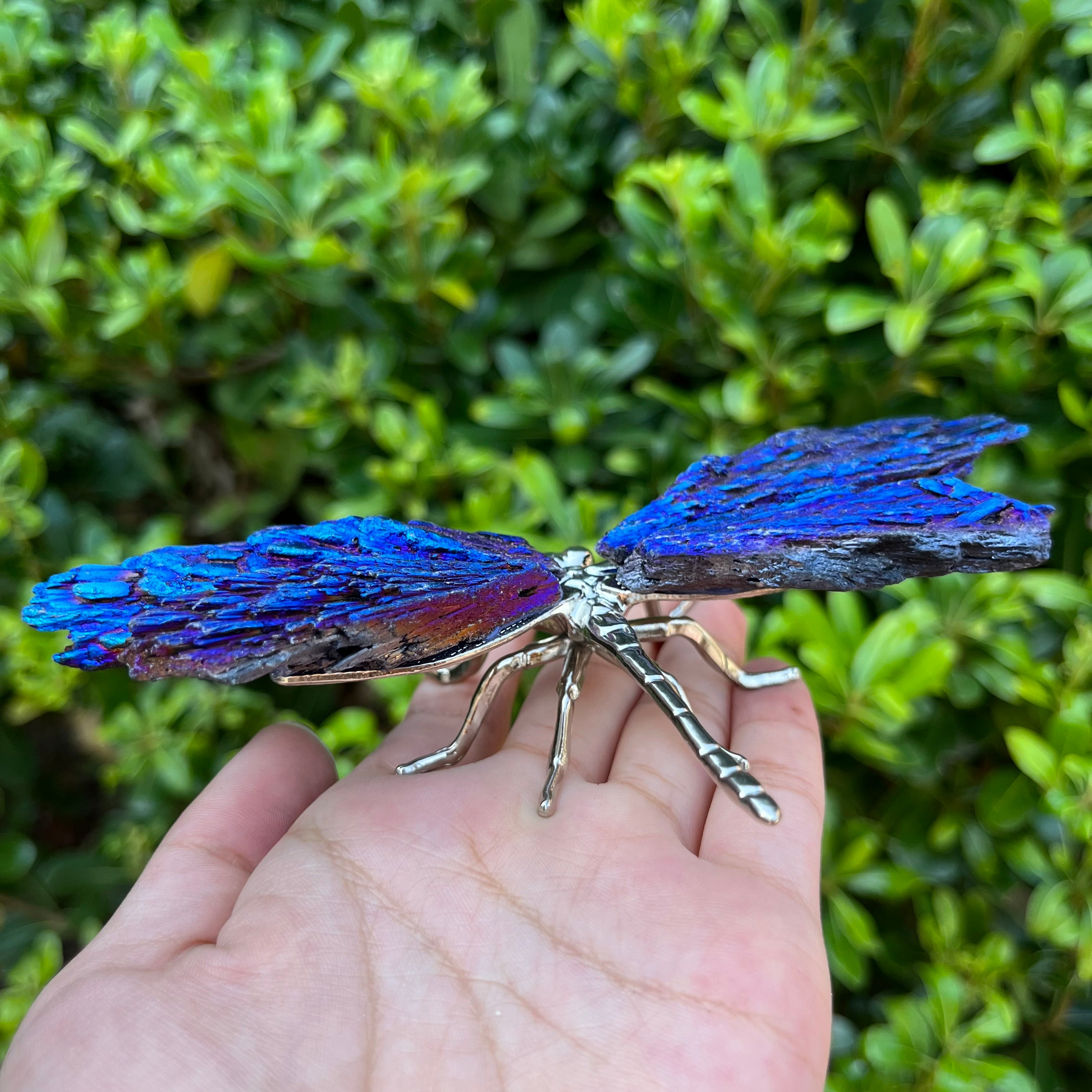 14CM Aura Tourmaline Dragonfly