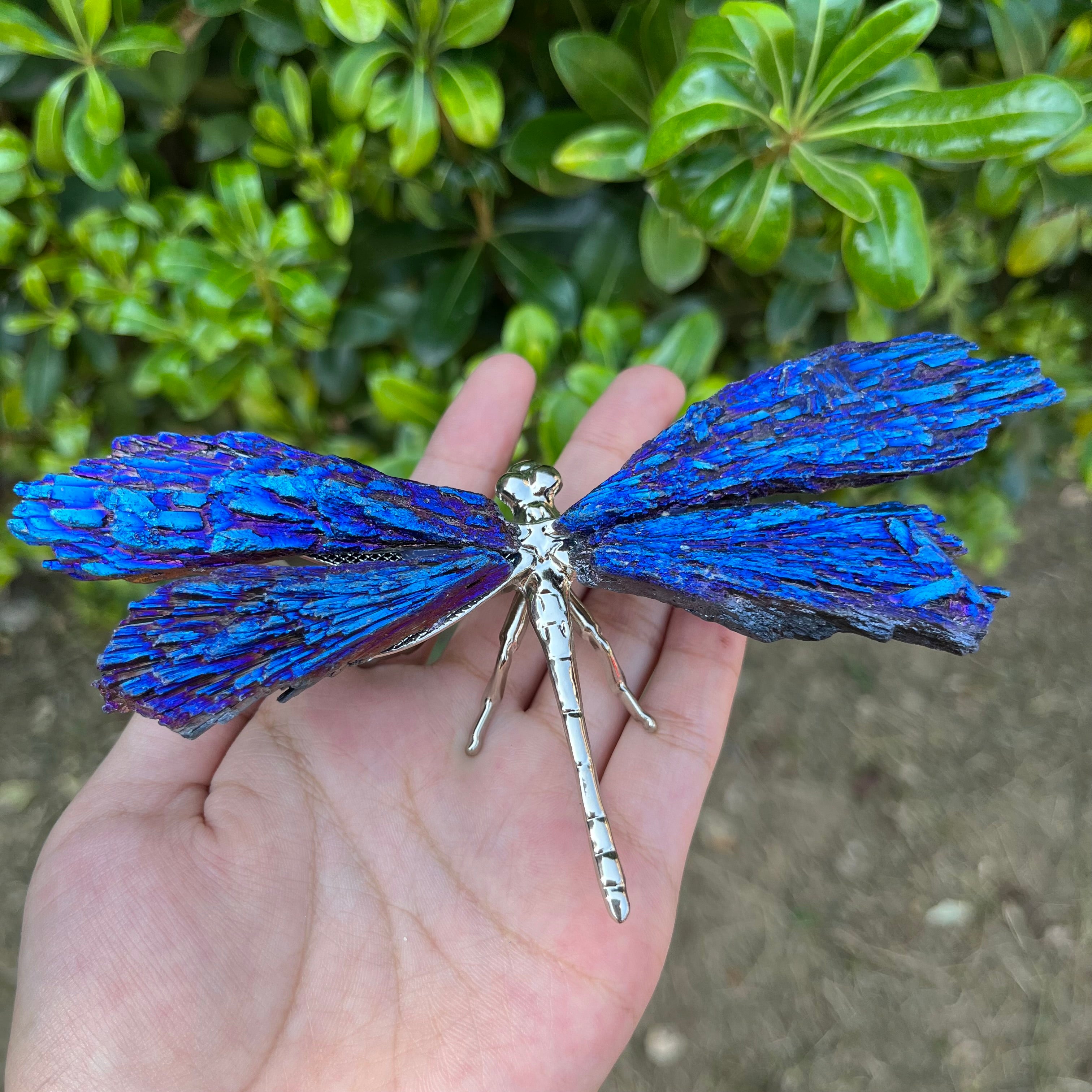 14CM Aura Tourmaline Dragonfly