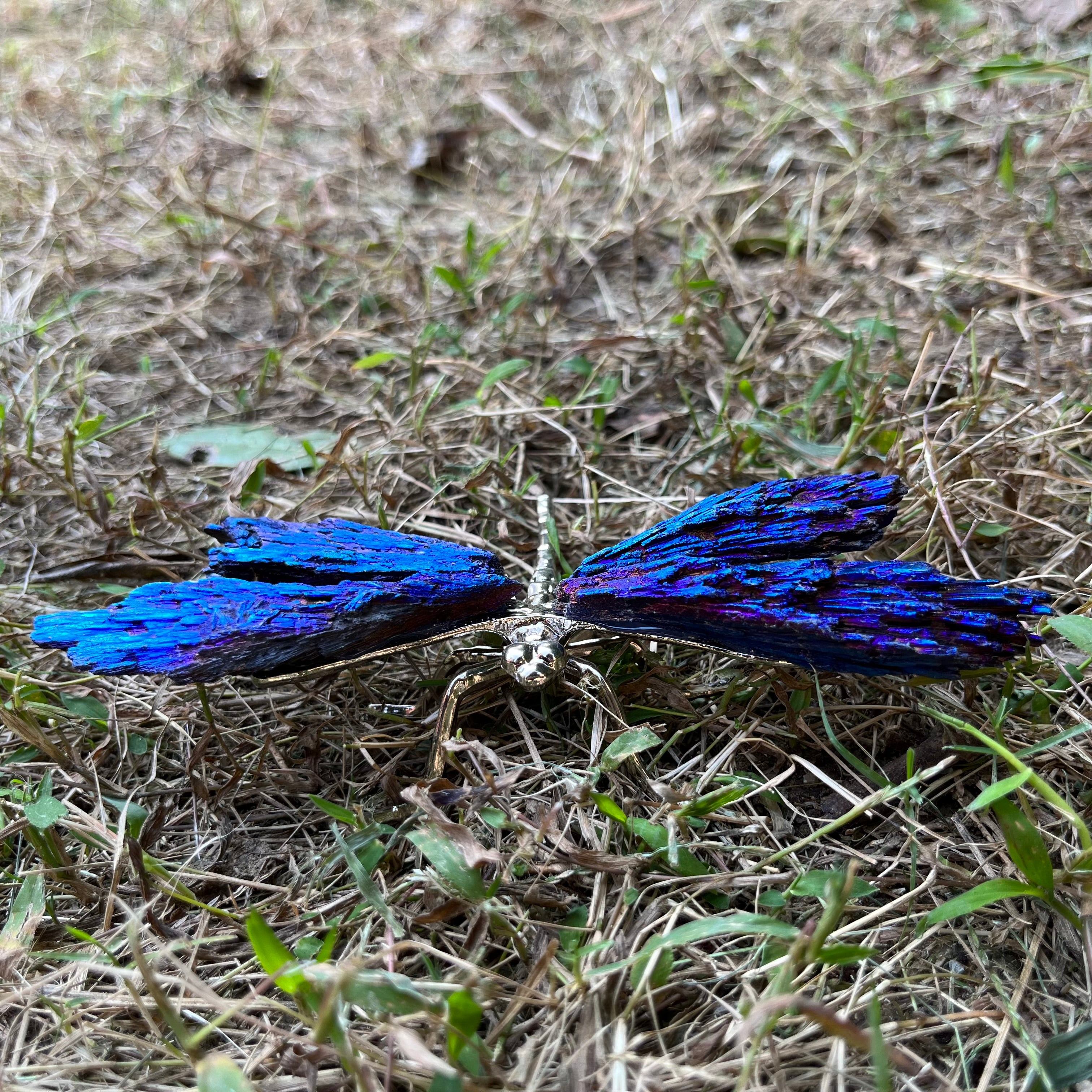 14CM Aura Tourmaline Dragonfly