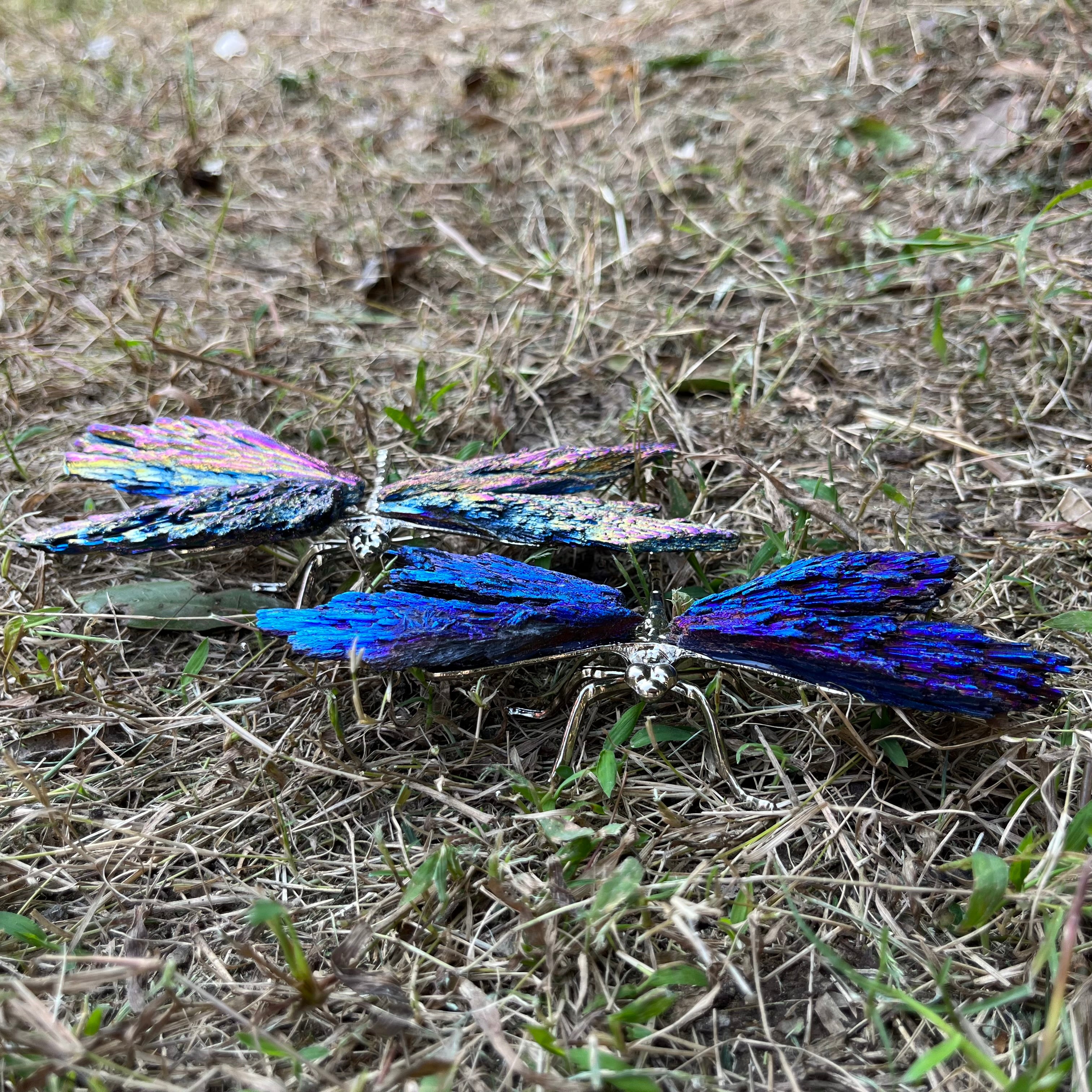 14CM Aura Tourmaline Dragonfly