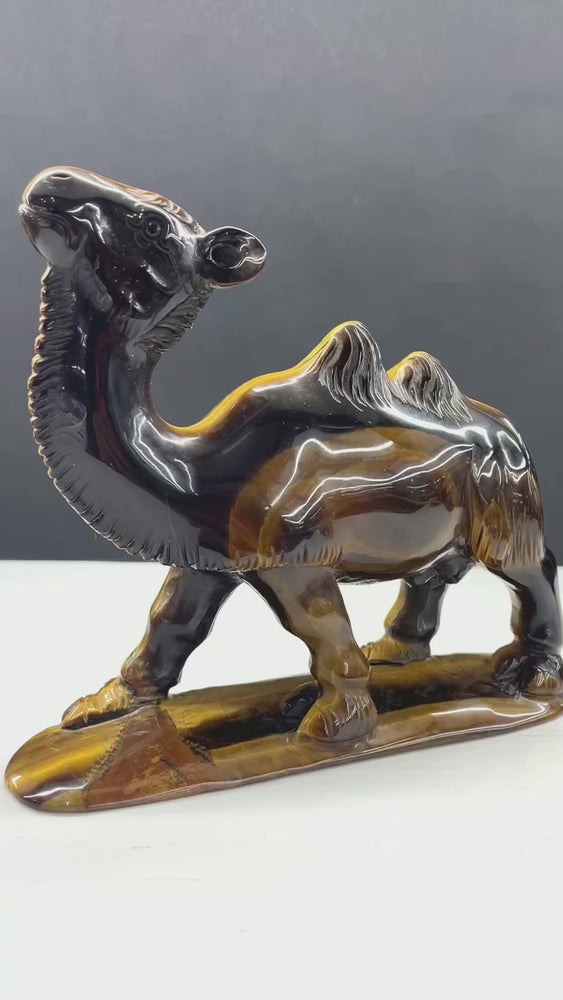 15CM Natural Tiger Eye Handcarved Camel Carving Home Decoration Gift