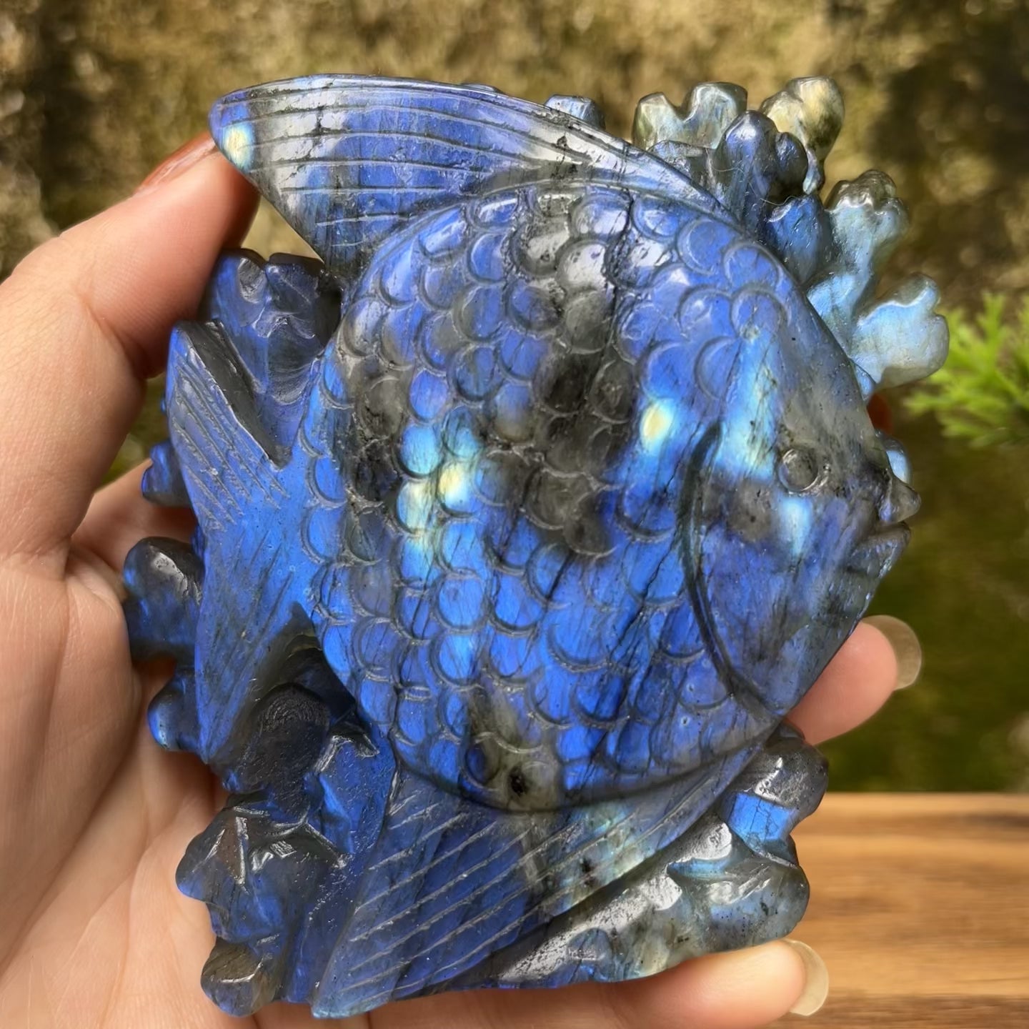 Natural Labradorite Strong Flash Coral Fish